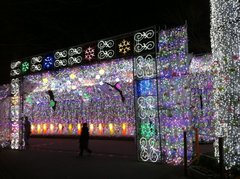イルミネーション