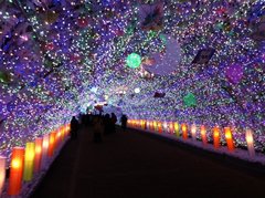 イルミネーション
