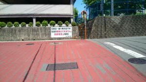玄人はだしのお客様! 玄人はだしのお客様!