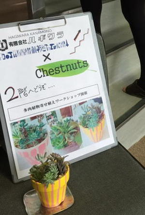多肉寄せ植えワークショップの様子 多肉寄せ植えワークショップの様子