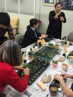 多肉寄せ植えワークショップの様子 多肉寄せ植えワークショップの様子