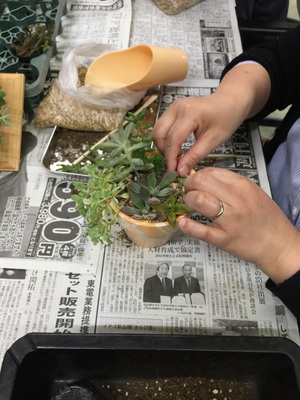 多肉寄せ植えワークショップの様子 多肉寄せ植えワークショップの様子