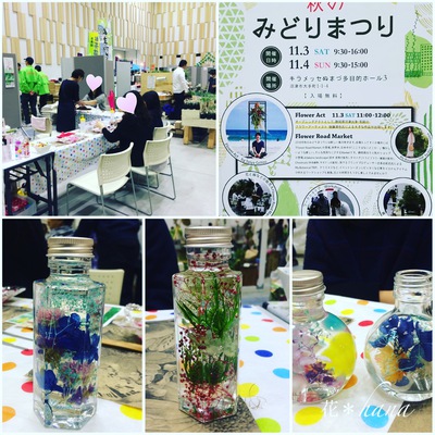 イベント報告:「秋のみどりまつり」沼津市 イベント報告:「秋のみどりまつり」沼津市