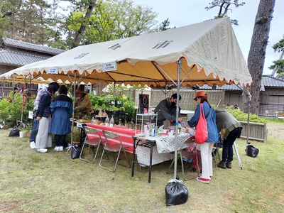 イベント報告 : 「春のみどりまつり」沼津市 イベント報告 : 「春のみどりまつり」沼津市