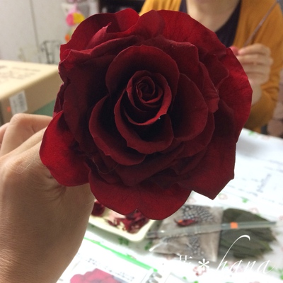 FFA認定講座*メリア FFA認定講座*メリア