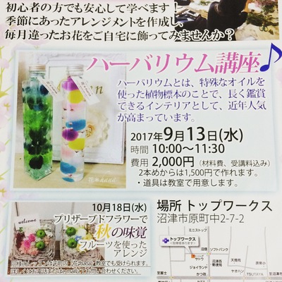 お教室のご案内:9/13「ハーバリウム講座」 お教室のご案内:9/13「ハーバリウム講座」