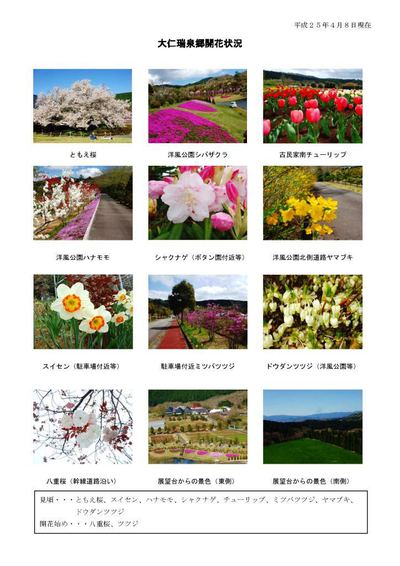 開花情報です