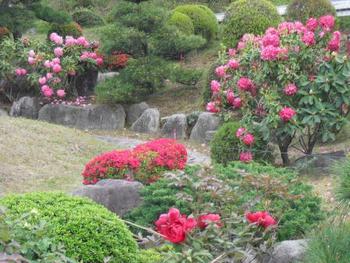 和風ボタン園