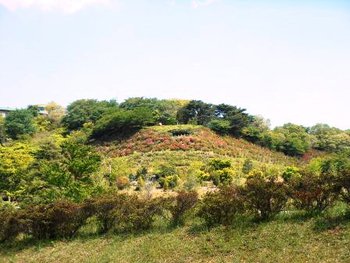 つつじ山展望台