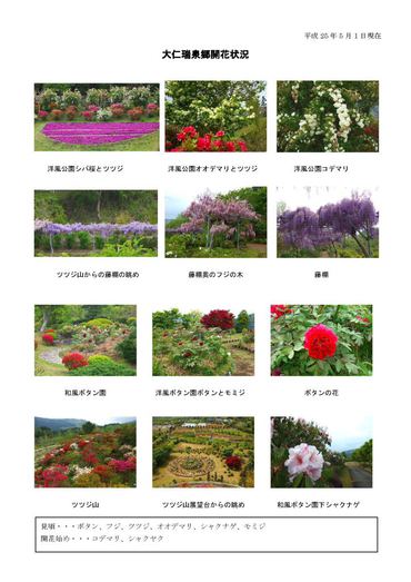 開花情報5月2日
