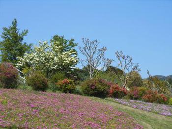 場内散策(15)洋風公園