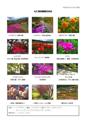 開花情報4月16日