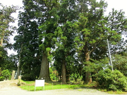村山浅間神社