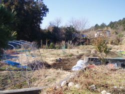 【終了】桑崎中古住宅