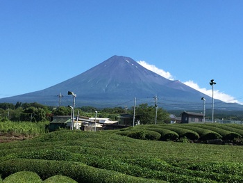 真夏の富士山 真夏の富士山