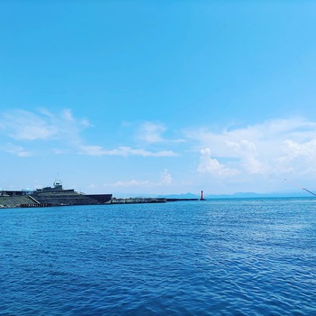 田子の浦で釣った魚 田子の浦で釣った魚
