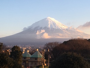 朝ウォーキングでパチリ 朝ウォーキングでパチリ