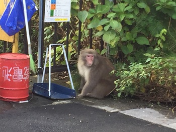 動物園じゃないですよ 動物園じゃないですよ