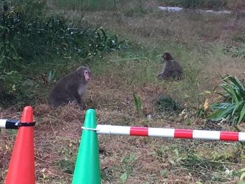 動物園じゃないですよ 動物園じゃないですよ