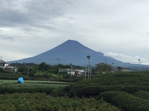 今朝の #富士山 #富士市 今朝の #富士山 #富士市