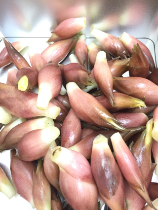 富士市の野菜 富士市の野菜