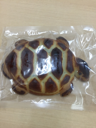 亀さん 亀さん