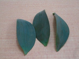 熊野のお土産 熊野のお土産