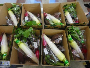 大淵の農家さんから #富士市 大淵の農家さんから #富士市