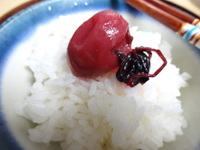 あぁ、涙の新米。。。