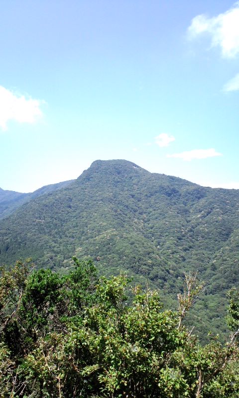 天城山に登ってきました 万二郎岳から箒木山トレッキング