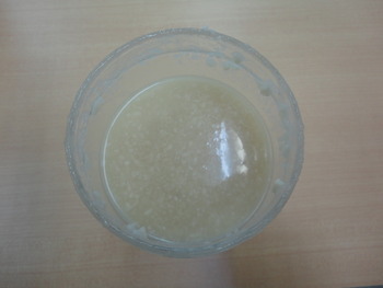 塩麹