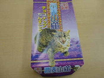 西表島