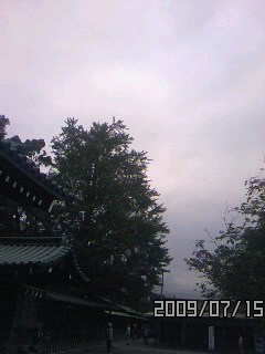 おはようございます^^
