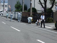 8月の一斉清掃