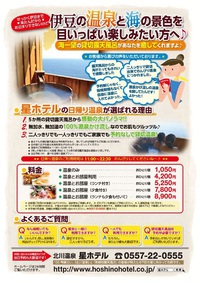 せっかくの伊豆。温泉と海の景色をめいっぱい楽しみたい方へ~♪