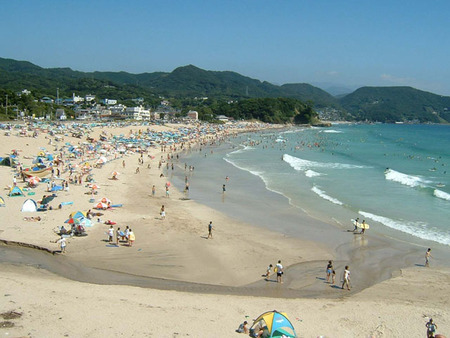 夏の決算