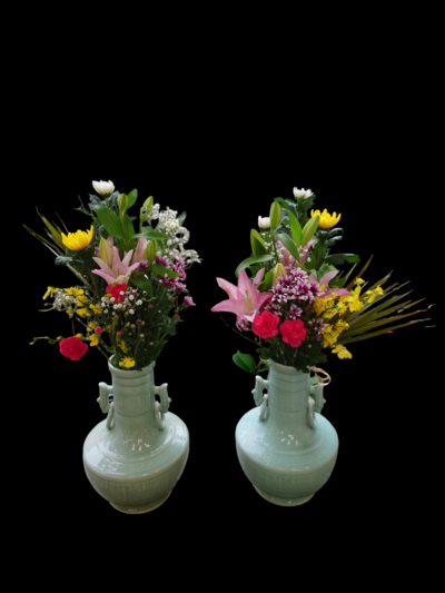 サイダーで切り花が長持ちって本当? サイダーで切り花が長持ちって本当?