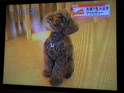緊急告知!!!