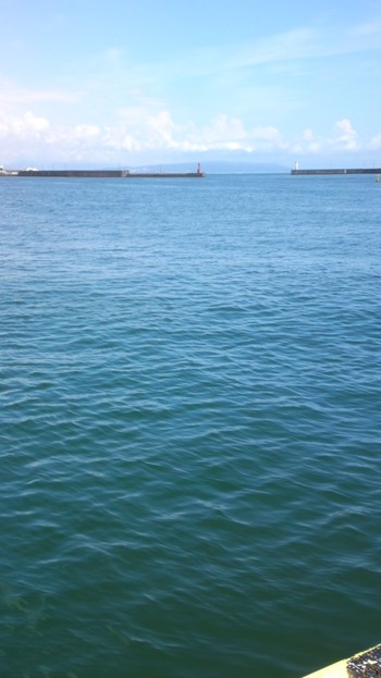 今日の海 焼津の海
