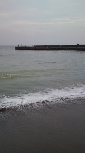 今日の海