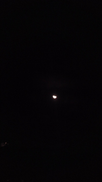月が。。星が。。\(☆o☆)/
