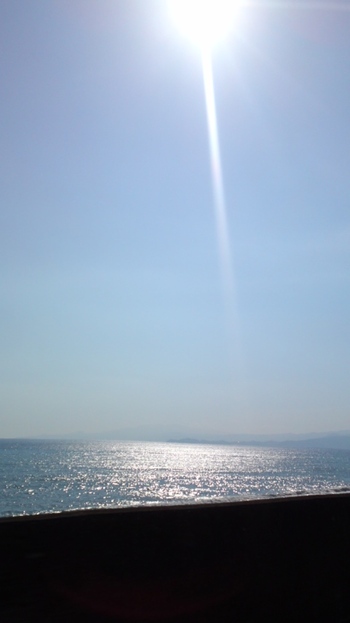 今日の海