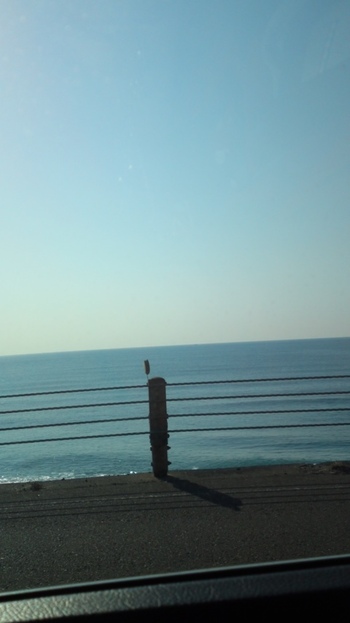 今日の海