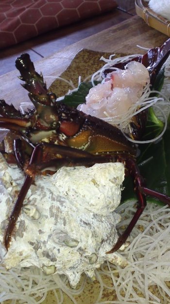 伊勢海老お刺身