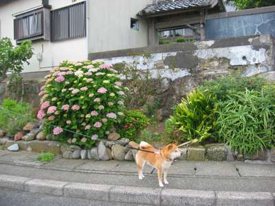 いそかぜ,お風呂