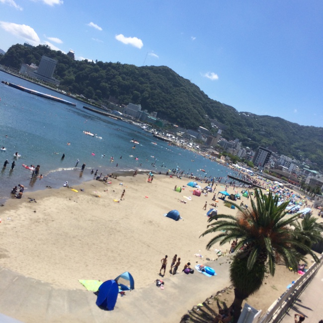 夏! 夏!