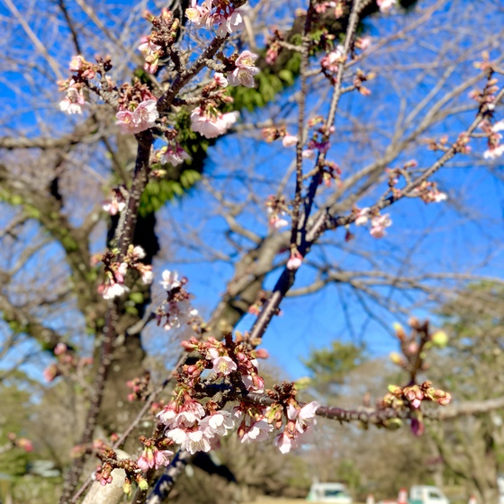 ☆受験シーズン☆ ☆受験シーズン☆