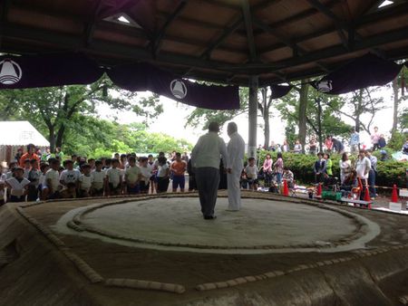 わんぱく相撲富士場所