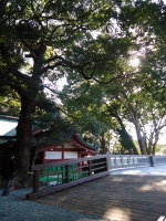 PPC活動報告③in来宮神社