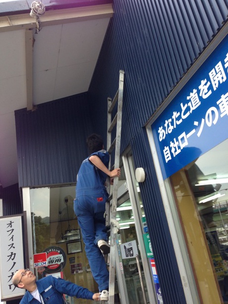 ツバメの赤ちゃんパート2